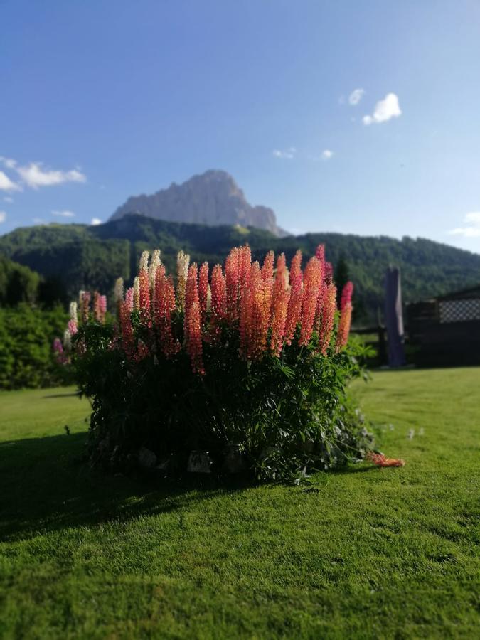 Apartmán Cedepuent De Sot Selva di Val Gardena Exteriér fotografie