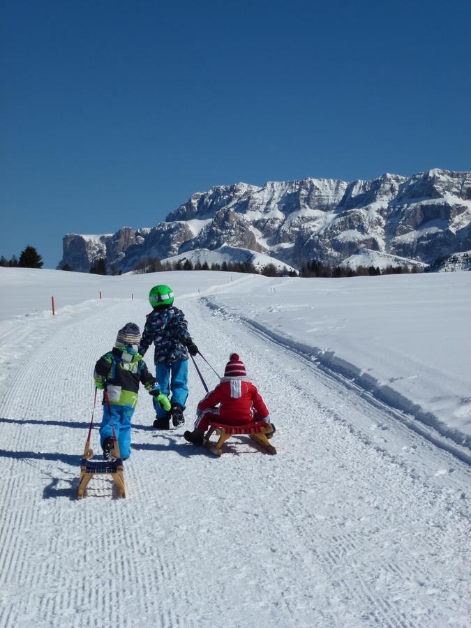 Apartmán Cedepuent De Sot Selva di Val Gardena Exteriér fotografie